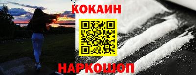 индика Новозыбков