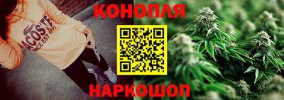 индика Новозыбков